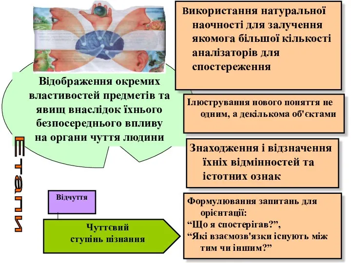 Відображення окремих властивостей предметів та явищ внаслідок їхнього безпосереднього впливу