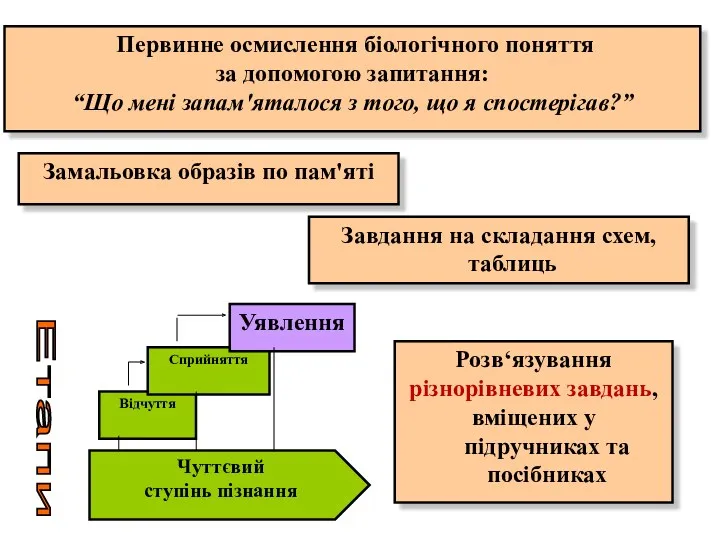 Чуттєвий ступінь пізнання Відчуття Сприйняття Уявлення Етапи Первинне осмислення біологічного