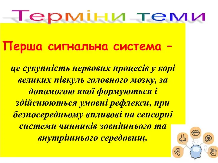 Перша сигнальна система – це сукупність нервових процесів у корі