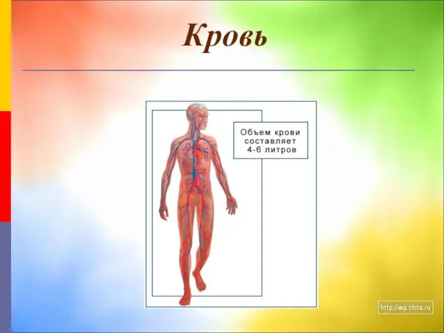 Кровь