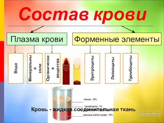 Состав крови Плазма крови Форменные элементы ? ? ? ?