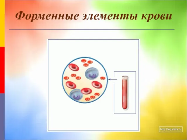 Форменные элементы крови