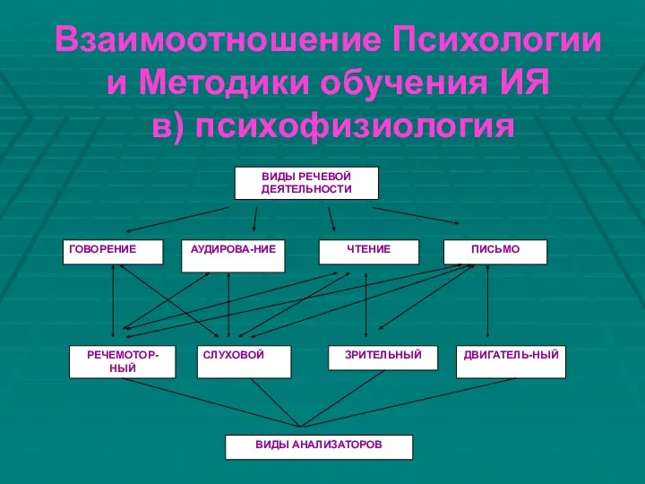 Взаимоотношение Психологии и Методики обучения ИЯ в) психофизиология