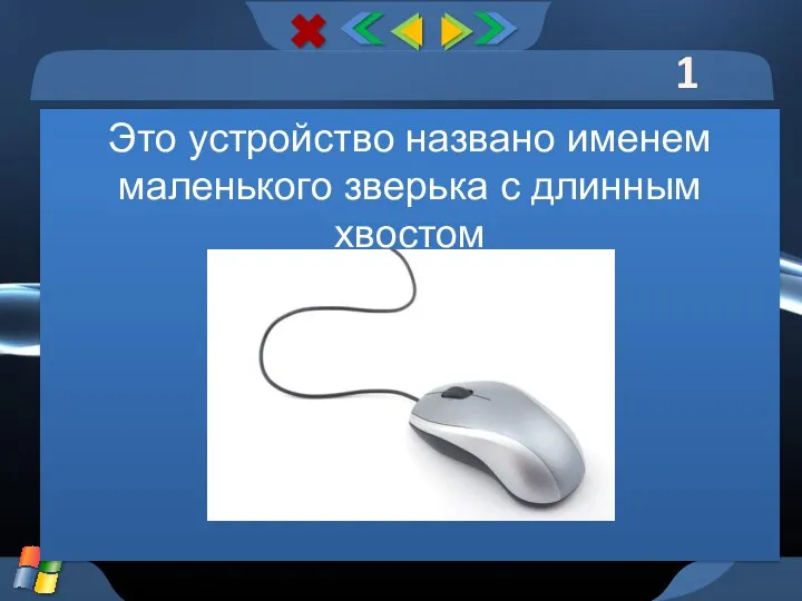 1 тур Это устройство названо именем маленького зверька с длинным хвостом