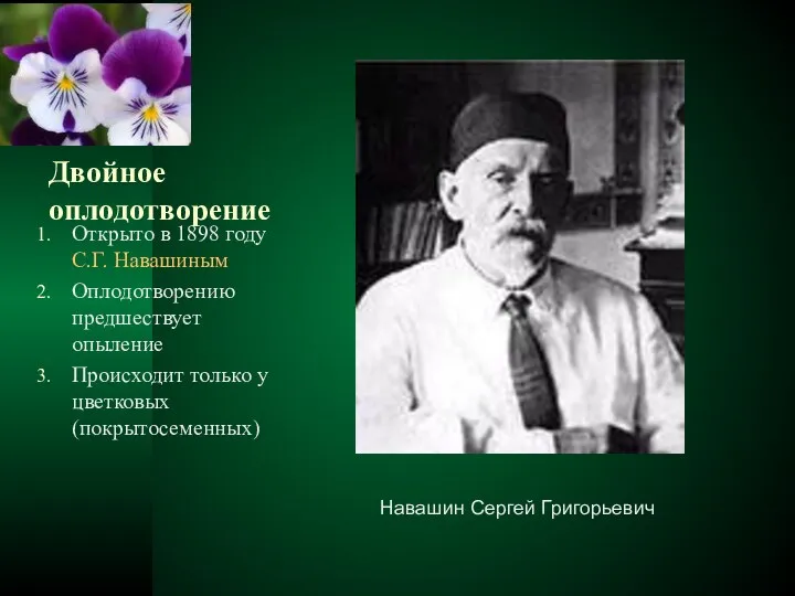 Двойное оплодотворение Открыто в 1898 году С.Г. Навашиным Оплодотворению предшествует