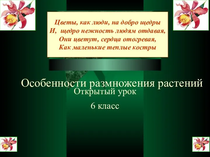 Открытый урок 6 класс Цветы, как люди, на добро щедры