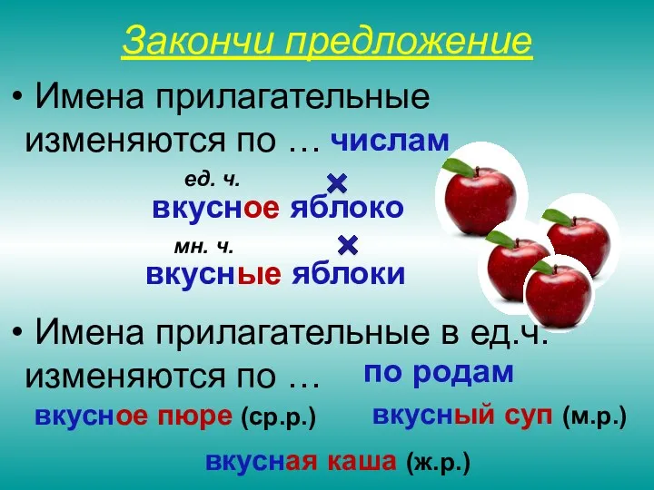 Закончи предложение Имена прилагательные изменяются по … числам вкусные яблоки