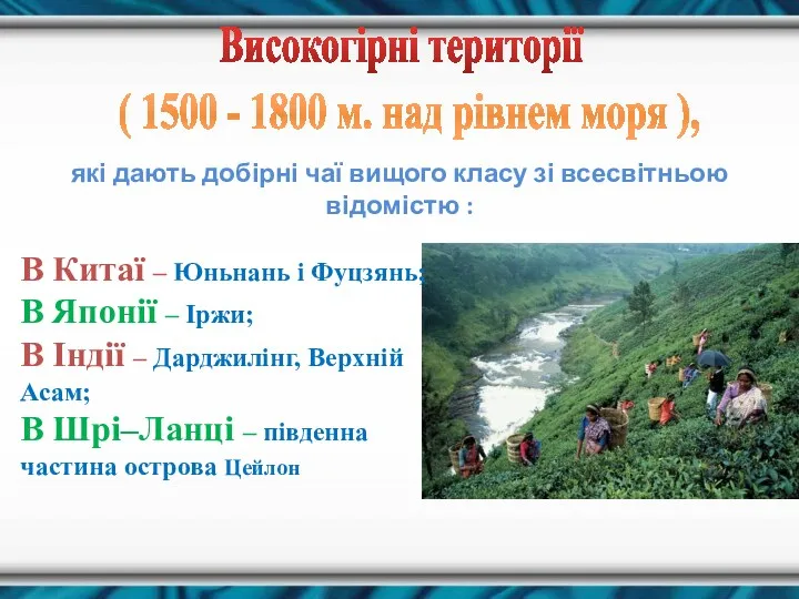 Високогірні території ( 1500 - 1800 м. над рівнем моря