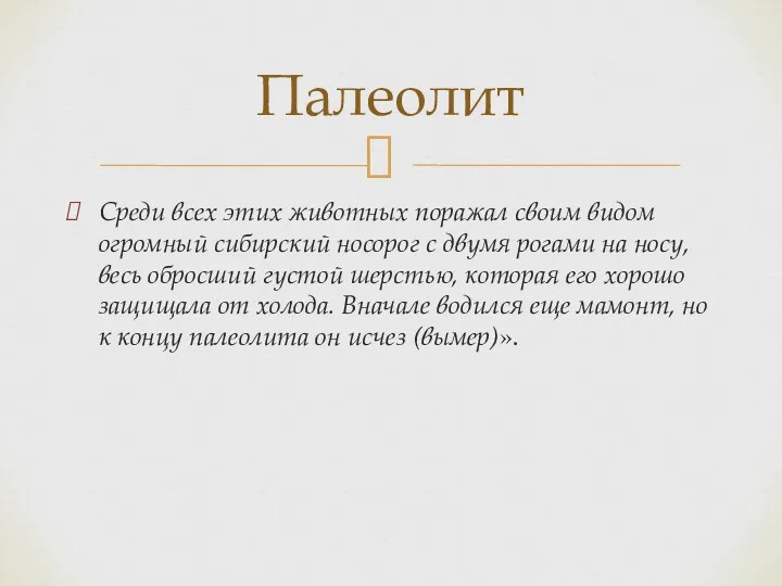 Среди всех этих животных поражал своим видом огромный сибирский носорог