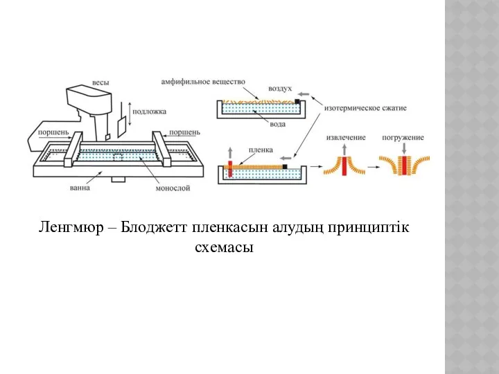 Ленгмюр – Блоджетт пленкасын алудың принциптік схемасы