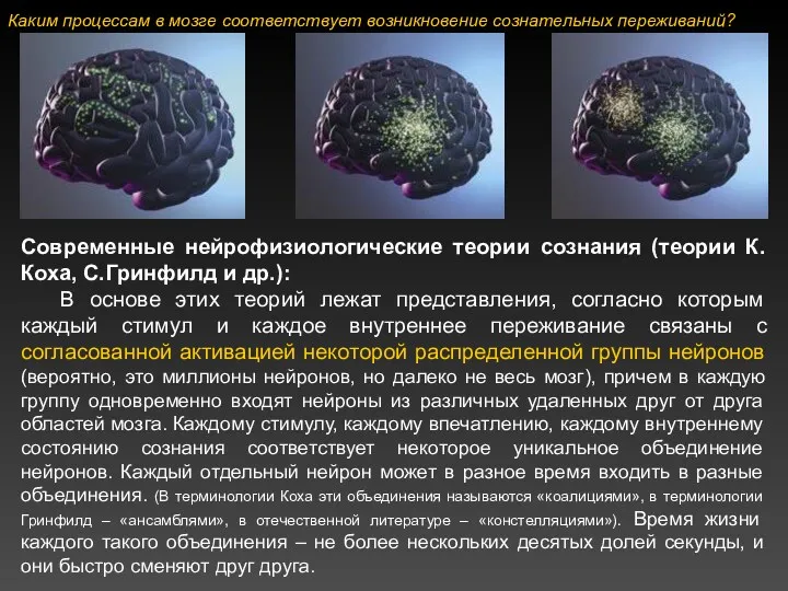 Современные нейрофизиологические теории сознания (теории К.Коха, С.Гринфилд и др.): В основе этих теорий