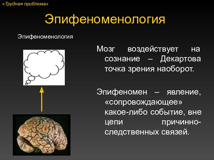 Эпифеноменология Мозг воздействует на сознание – Декартова точка зрения наоборот. Эпифеномен – явление,