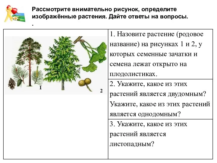 Рассмотрите внимательно рисунок, определите изображённые растения. Дайте ответы на вопросы. .