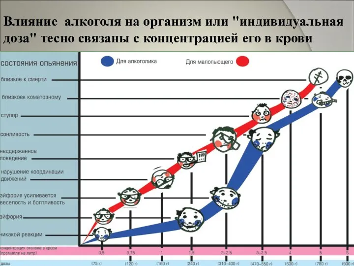 Влияние алкоголя на организм или "индивидуальная доза" тесно связаны с концентрацией его в крови