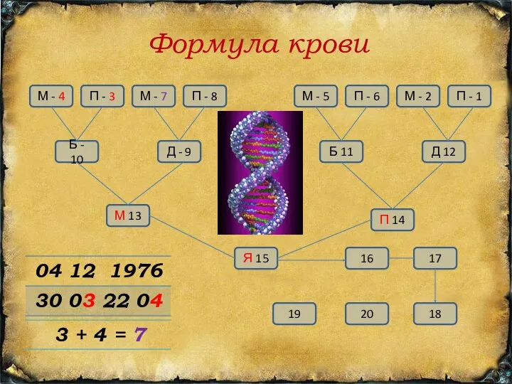 Формула крови М - 4 П - 3 М -