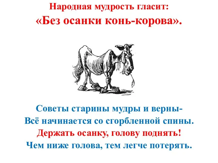 Народная мудрость гласит: «Без осанки конь-корова». Советы старины мудры и верны- Всё начинается