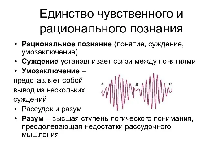 Единство чувственного и рационального познания Рациональное познание (понятие, суждение, умозаключение)