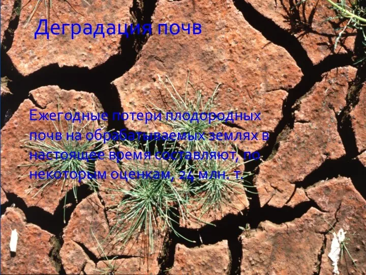 Деградация почв Ежегодные потери плодородных почв на обрабатываемых землях в