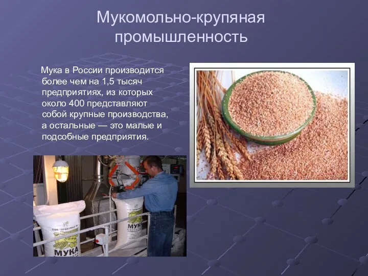 Мукомольно-крупяная промышленность Мука в России производится более чем на 1,5 тысяч предприятиях, из