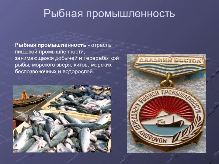Рыбная промышленность Рыбная промышленность - отрасль пищевой промышленности, занимающаяся добычей