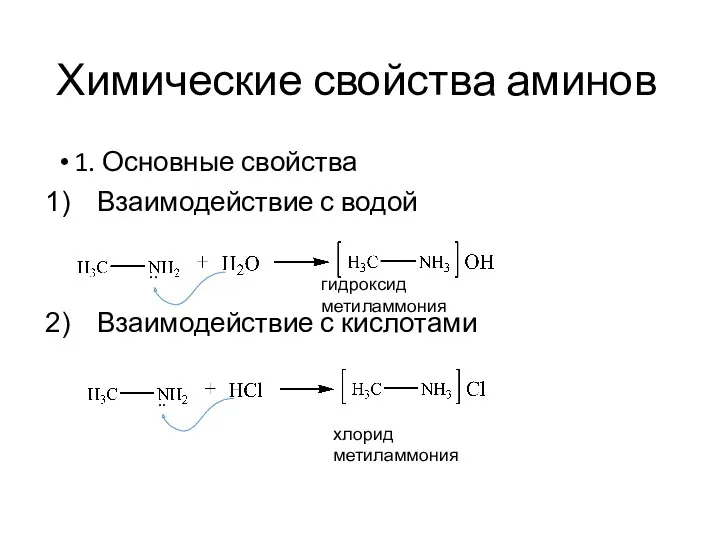 Химические свойства аминов 1. Основные свойства Взаимодействие с водой Взаимодействие