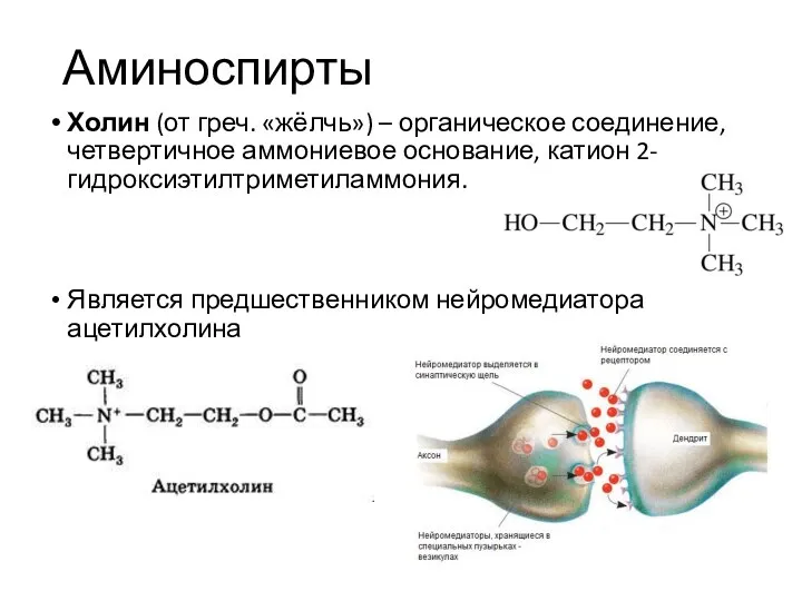 Аминоспирты Холин (от греч. «жёлчь») – органическое соединение, четвертичное аммониевое