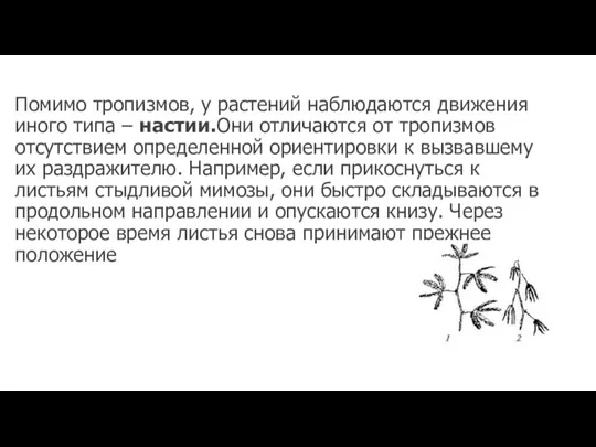 Помимо тропизмов, у растений наблюдаются движения иного типа – настии.Они