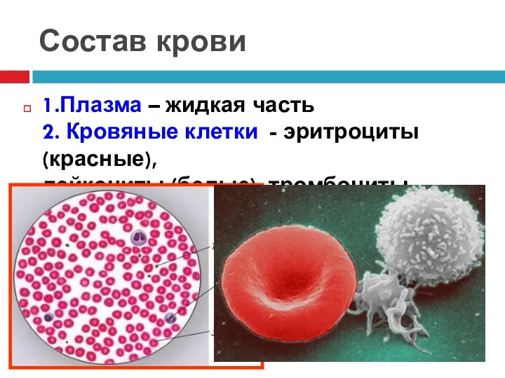 Состав крови 1.Плазма – жидкая часть 2. Кровяные клетки - эритроциты(красные), лейкоциты (белые), тромбоциты.