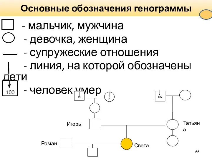 Основные обозначения генограммы - мальчик, мужчина - девочка, женщина -