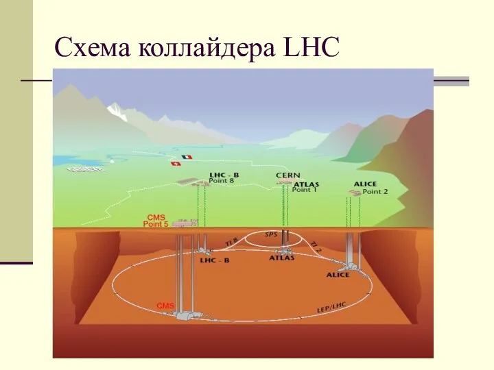 В.И. Комарова 2017 (очное) Схема коллайдера LHC