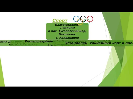 Спорт Благоустроены стадионы в пос. Туголесский Бор, Бакшеево, с. Кривандино