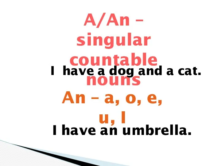 A/An – singular countable nouns I have a dog and