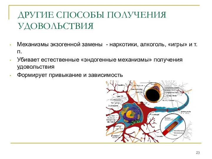 Механизмы экзогенной замены - наркотики, алкоголь, «игры» и т.п. Убивает