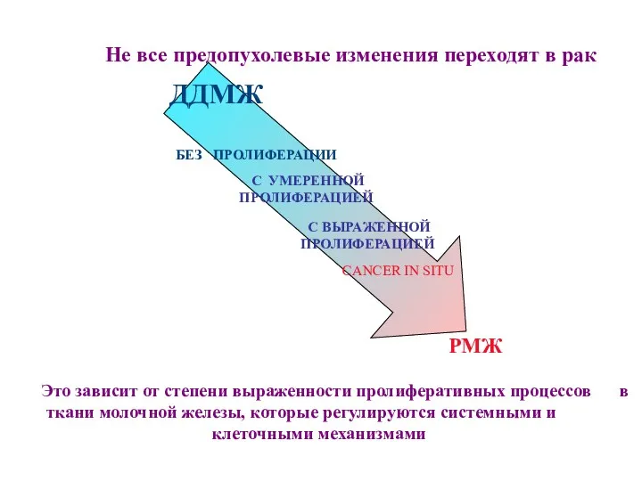 Не все предопухолевые изменения переходят в рак Это зависит от