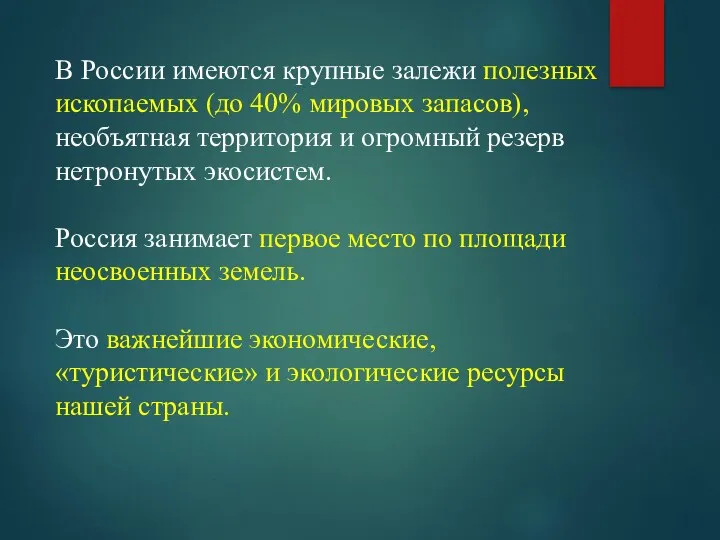 В России имеются крупные залежи полезных ископаемых (до 40% мировых
