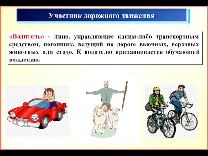 Участник дорожного движения «Водитель» - лицо, управляющее каким-либо транспортным средством,