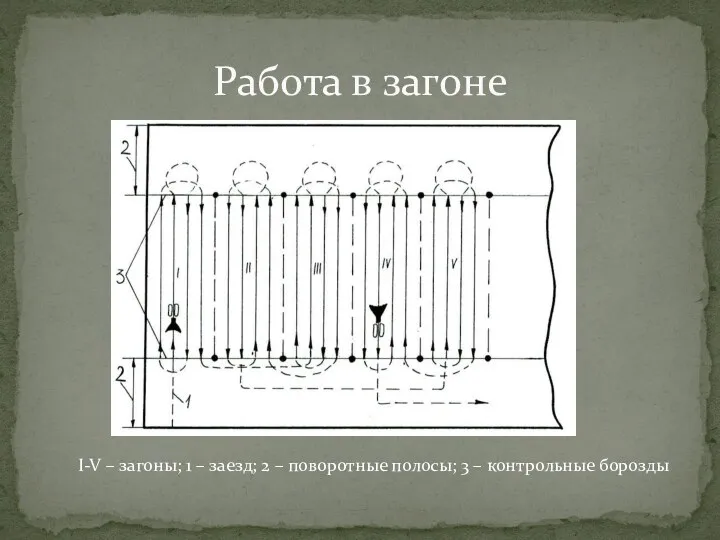 Работа в загоне I-V – загоны; 1 – заезд; 2