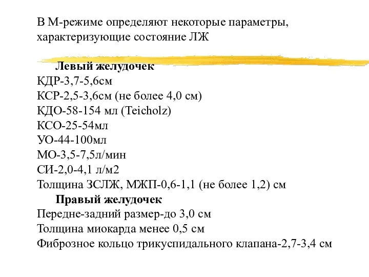 В М-режиме определяют некоторые параметры, характеризующие состояние ЛЖ Левый желудочек