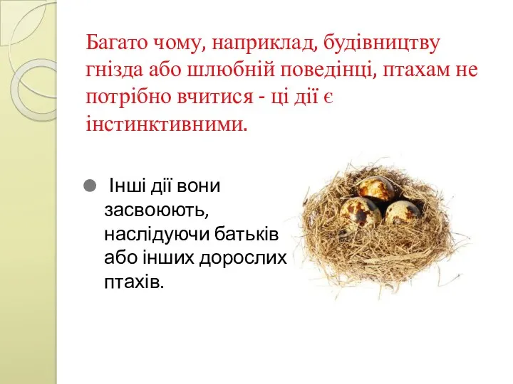 Багато чому, наприклад, будівництву гнізда або шлюбній поведінці, птахам не