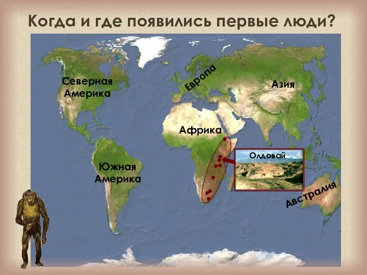 Африка Европа Азия Северная Америка Южная Америка Австралия Когда и где появились первые люди?
