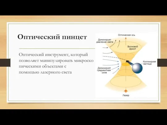 Оптический пинцет Оптический инструмент, который позволяет манипулировать микроскопическими объектами с помощью лазерного света