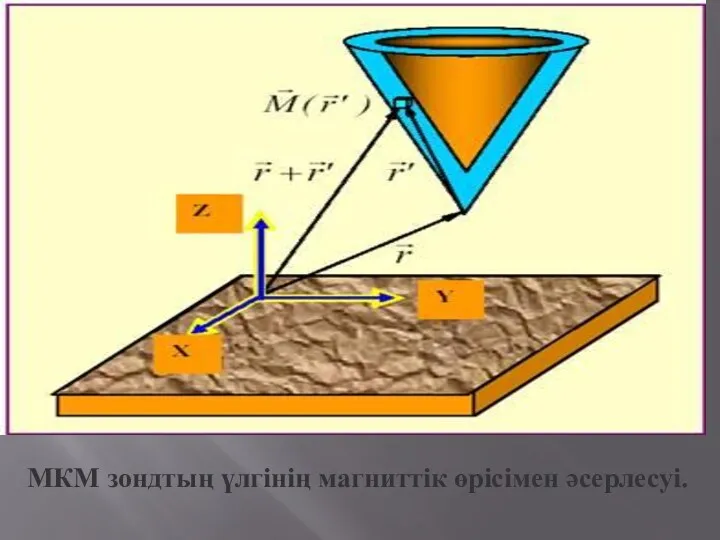 МКМ зондтың үлгінің магниттік өрісімен әсерлесуі.