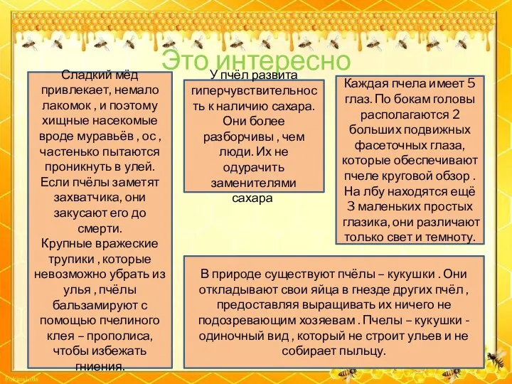 Это интересно Сладкий мёд привлекает, немало лакомок , и поэтому