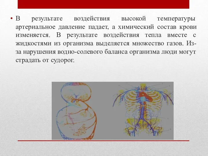 В результате воздействия высокой температуры артериальное давление падает, а химический