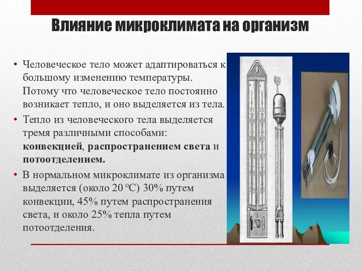 Влияние микроклимата на организм Человеческое тело может адаптироваться к большому