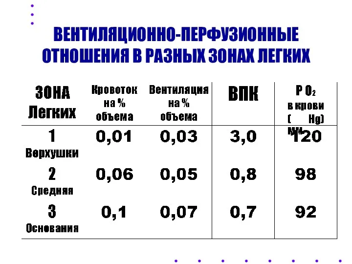 ВЕНТИЛЯЦИОННО-ПЕРФУЗИОННЫЕ ОТНОШЕНИЯ В РАЗНЫХ ЗОНАХ ЛЕГКИХ