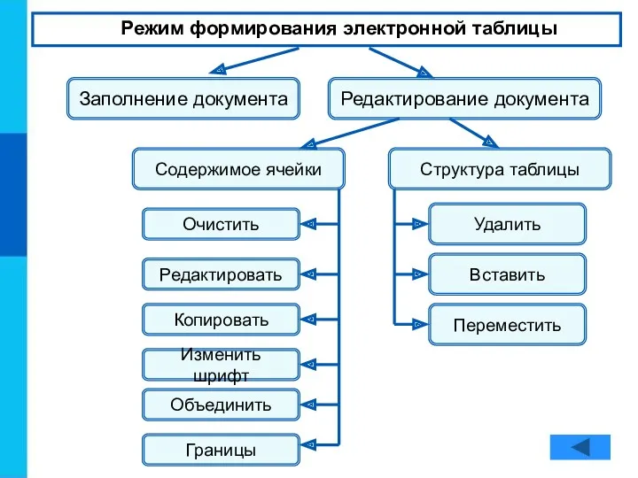 Режим формирования электронной таблицы Заполнение документа Редактирование документа Содержимое ячейки