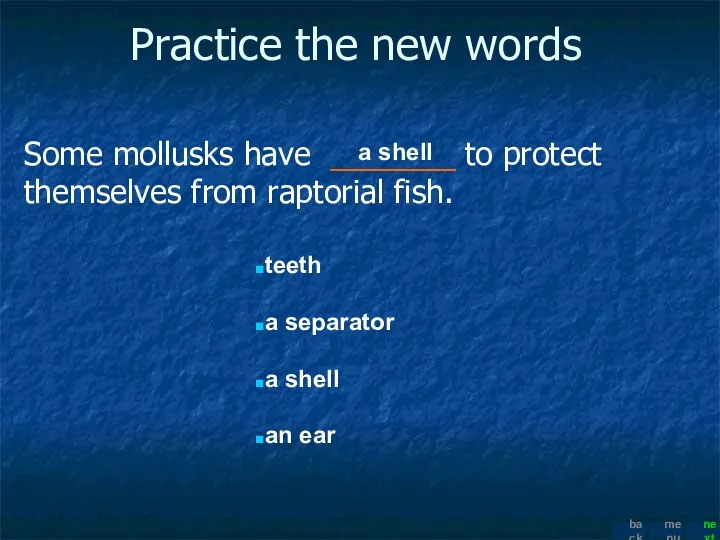 Practice the new words Some mollusks have _______ to protect