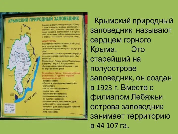Крымский природный заповедник называют сердцем горного Крыма. Это старейший на полуострове заповедник, он