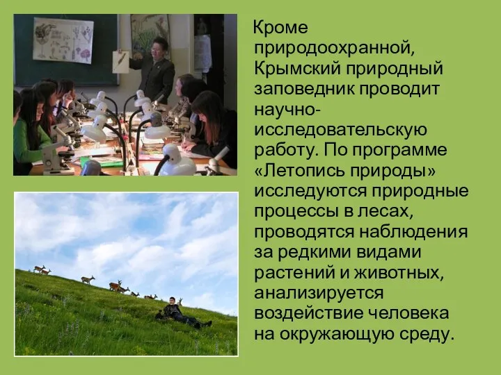 Кроме природоохранной, Крымский природный заповедник проводит научно-исследовательскую работу. По программе «Летопись природы» исследуются